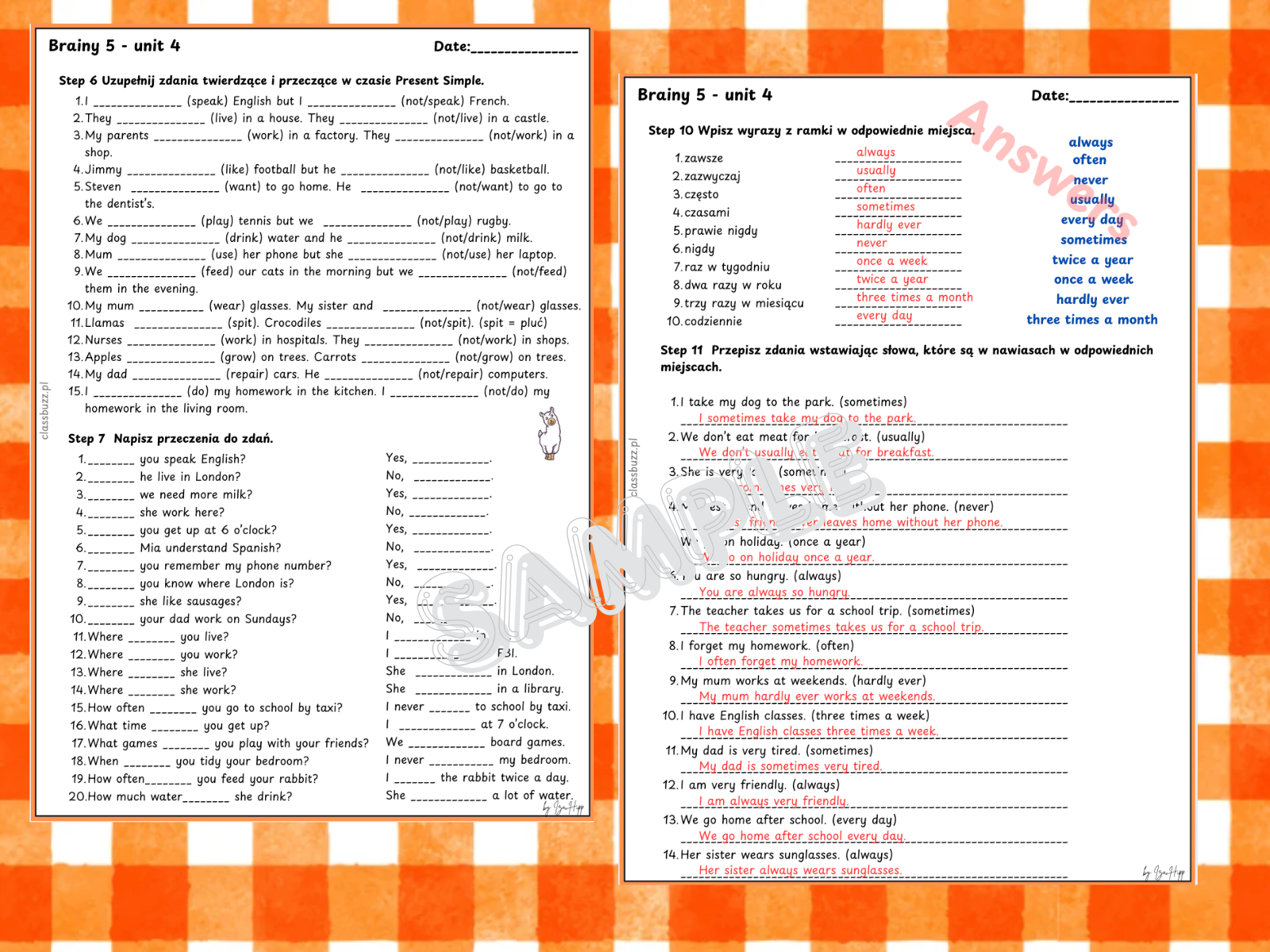 present simple brainy5, frequency adverbs